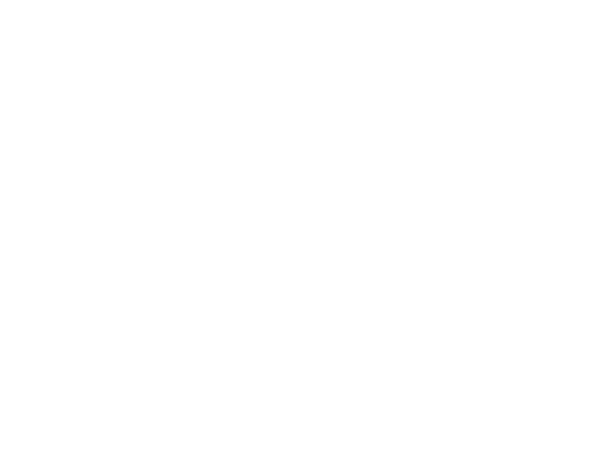 ISO 9001 Mono