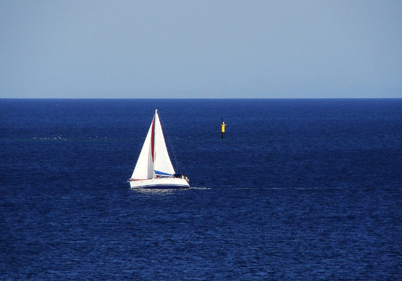 Yacht expert witness